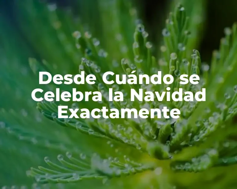 Desde Cuándo se Celebra la Navidad Exactamente