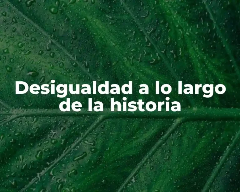 Desigualdad a lo largo de la historia