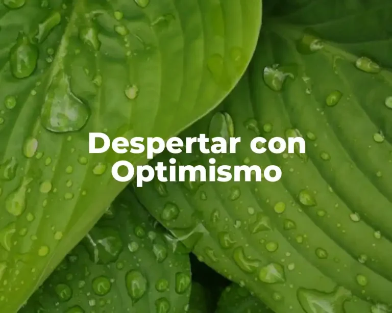 Despertar con Optimismo