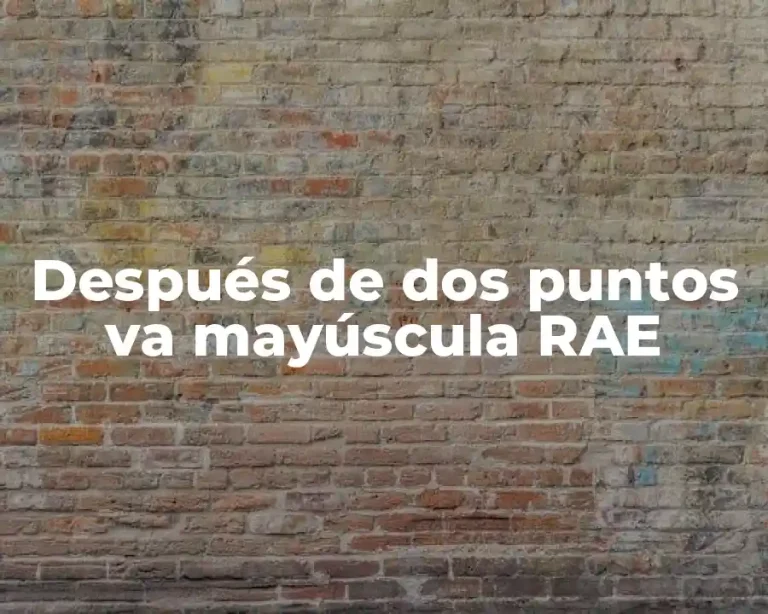Después de dos puntos va mayúscula RAE