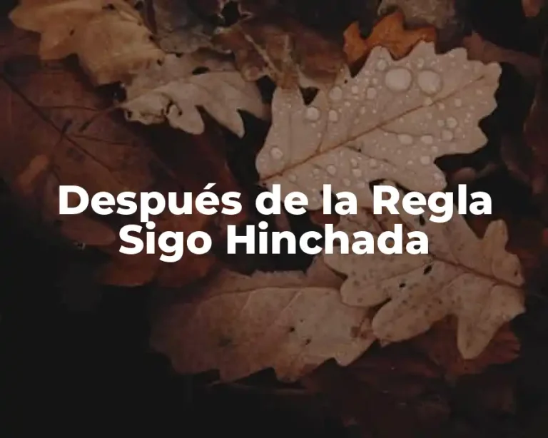 Después de la Regla Sigo Hinchada