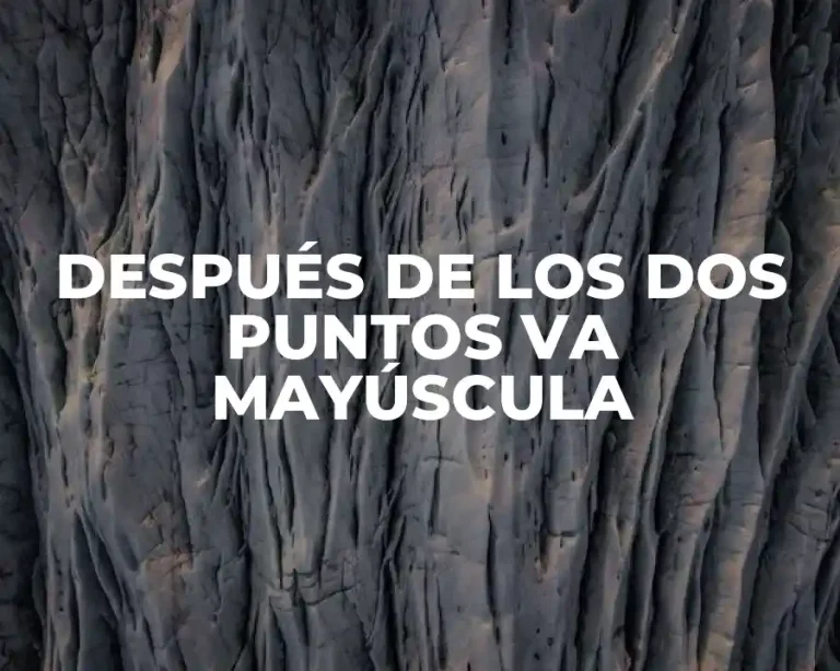 DESPUÉS DE LOS DOS PUNTOS VA MAYÚSCULA