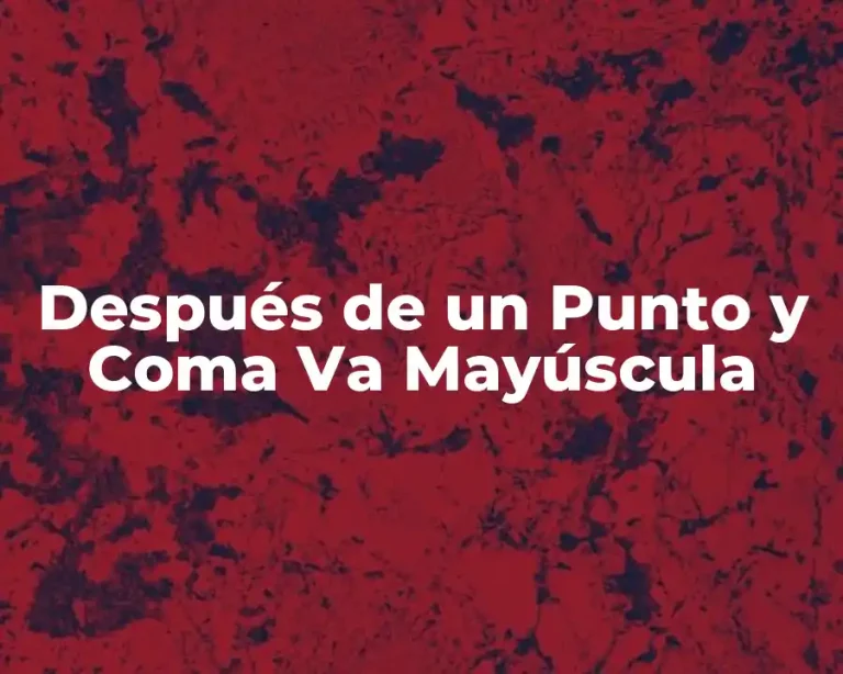 Después de un Punto y Coma Va Mayúscula