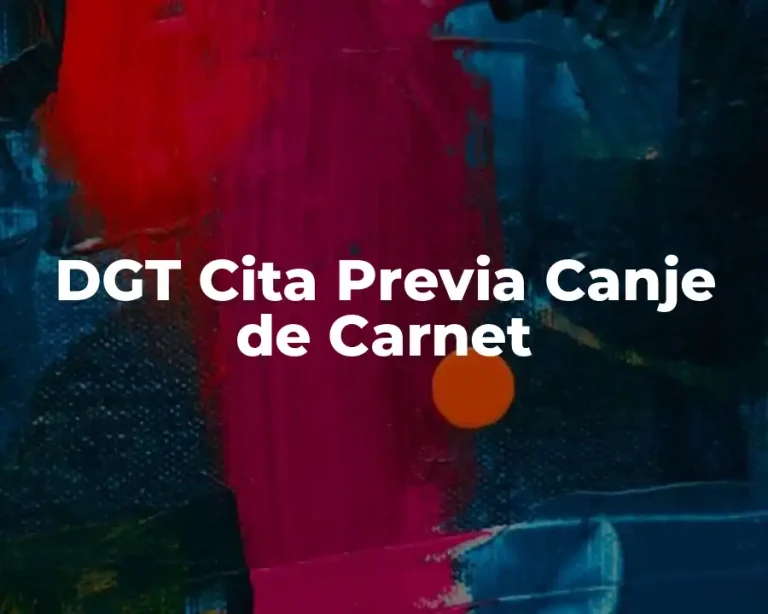 DGT Cita Previa Canje de Carnet