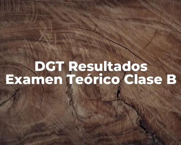 DGT Resultados Examen Teórico Clase B