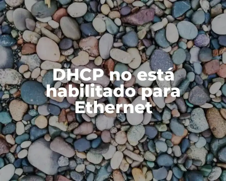 DHCP no está habilitado para Ethernet