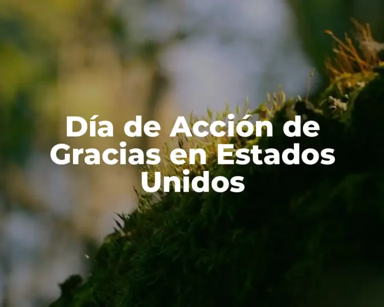 Día de Acción de Gracias en Estados Unidos