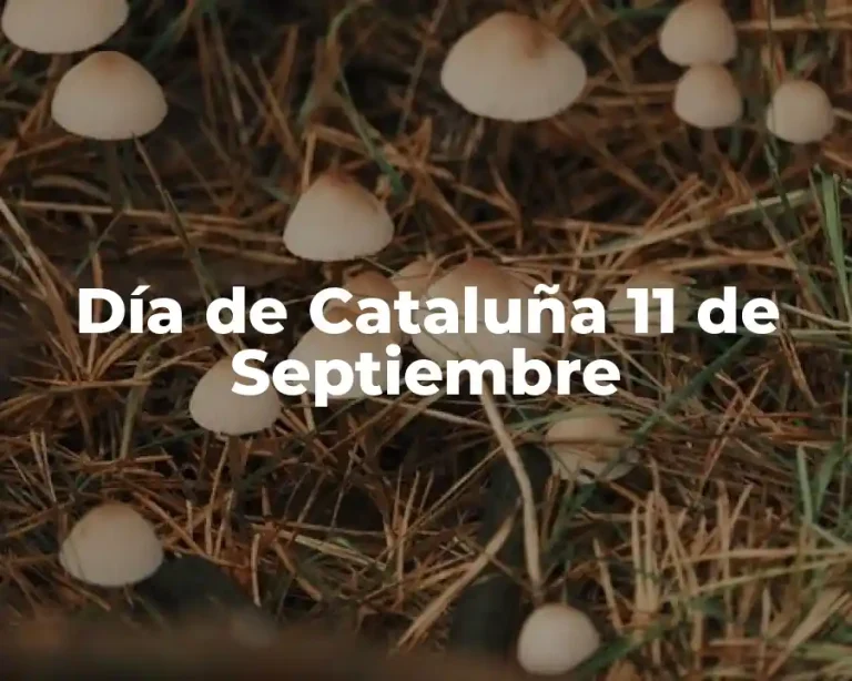 Día de Cataluña 11 de Septiembre