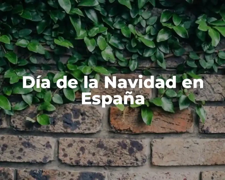 Día de la Navidad en España