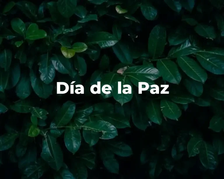 Día de la Paz