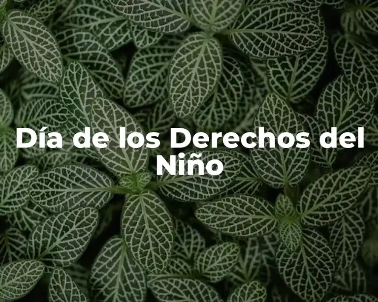 Día de los Derechos del Niño