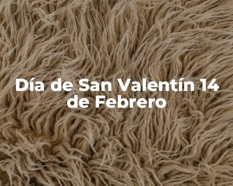 Día de San Valentín 14 de Febrero