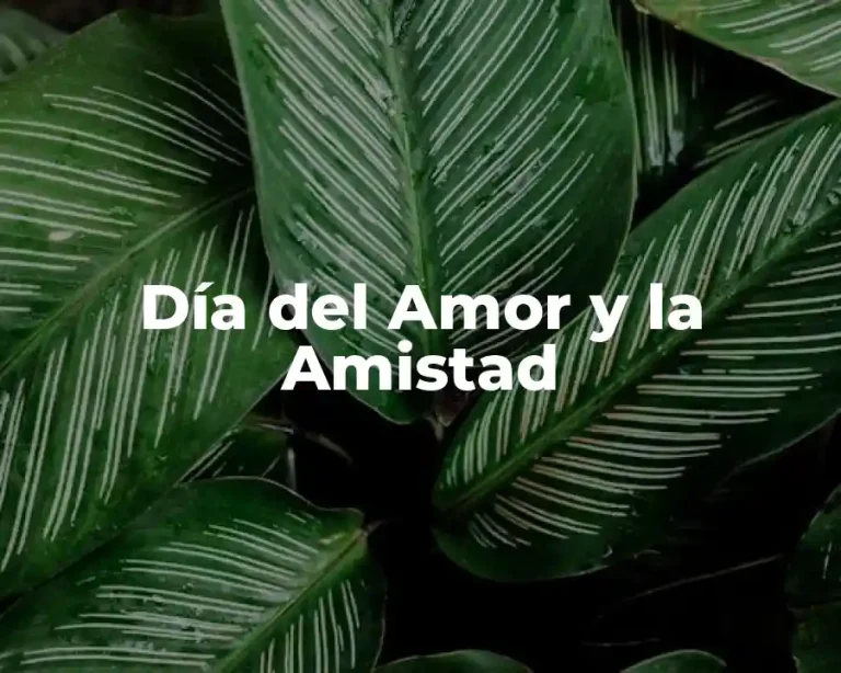 Día del Amor y la Amistad