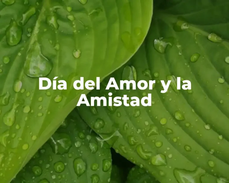 Día del Amor y la Amistad