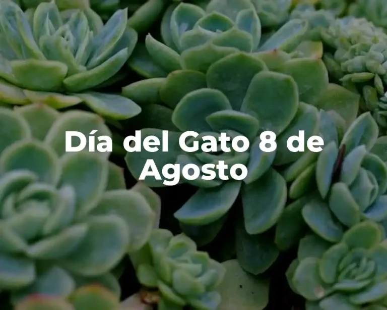 Día del Gato 8 de Agosto