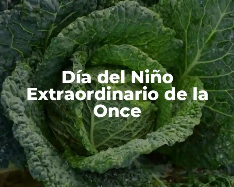 Día del Niño Extraordinario de la Once