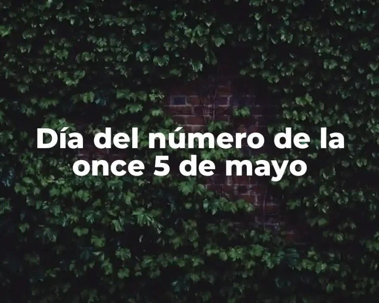 Día del número de la once 5 de mayo