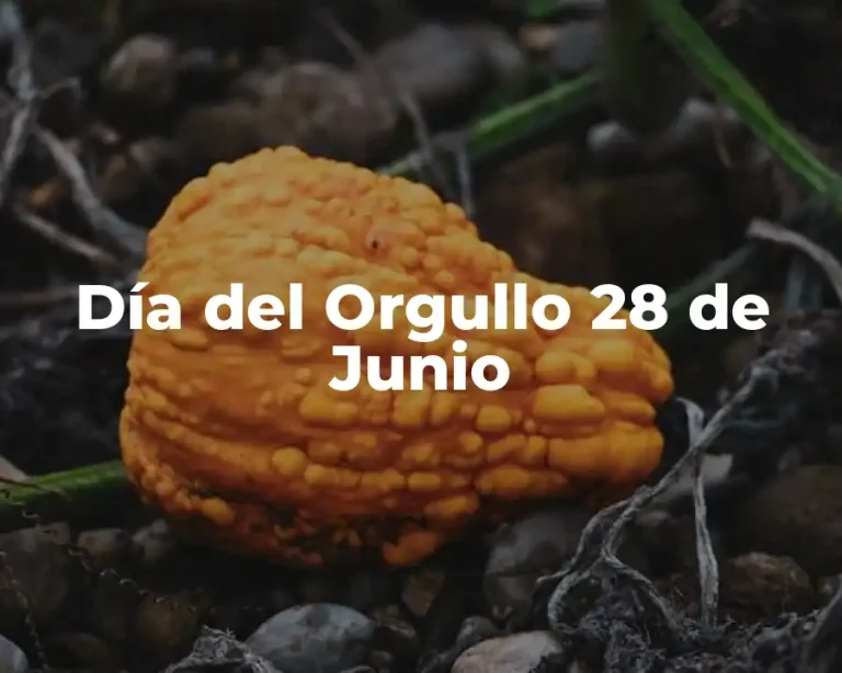 Día del Orgullo 28 de Junio