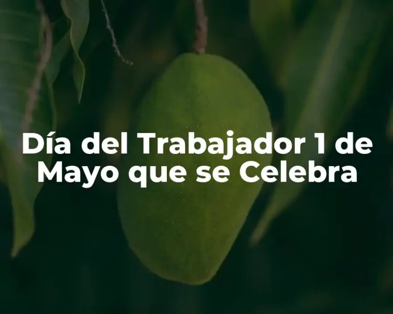 Día del Trabajador 1 de Mayo que se Celebra