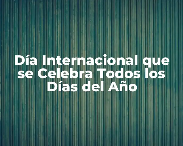 Día Internacional que se Celebra Todos los Días del Año