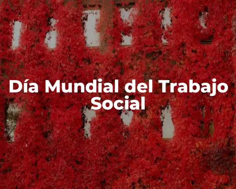 Día Mundial del Trabajo Social