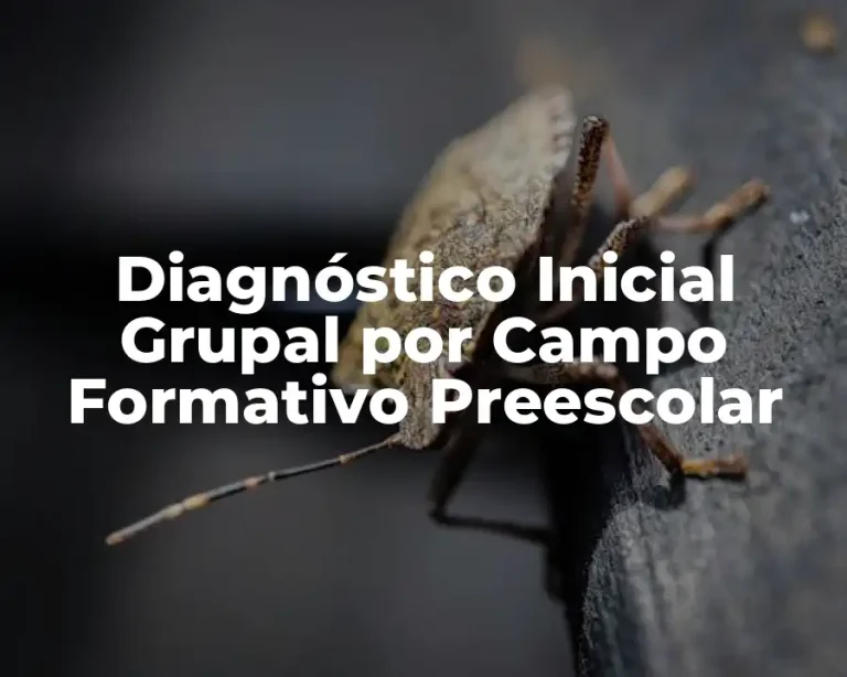 Diagnóstico Inicial Grupal por Campo Formativo Preescolar
