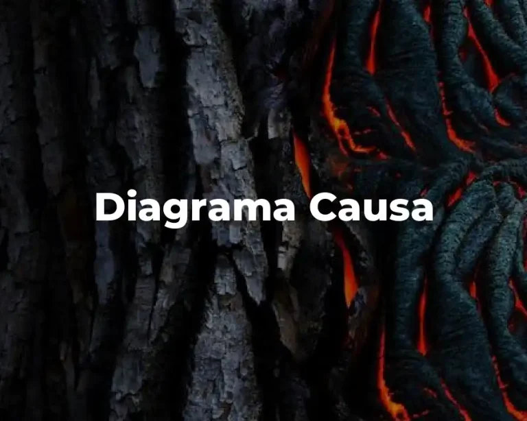 Diagrama Causa