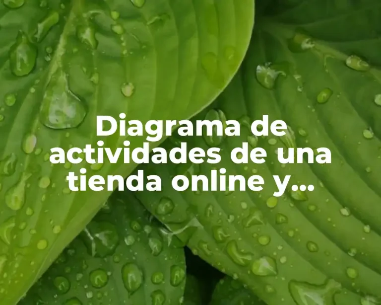 Diagrama de actividades de una tienda online y Significado