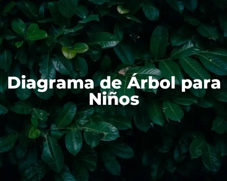 Diagrama de Árbol para Niños