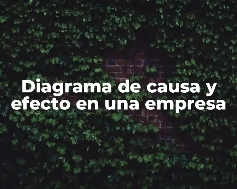 Diagrama de causa y efecto en una empresa
