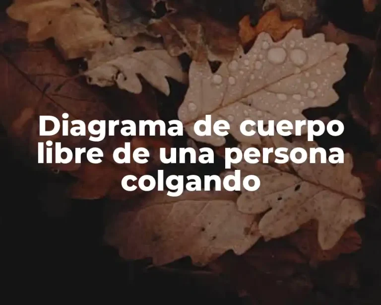 Diagrama de cuerpo libre de una persona colgando