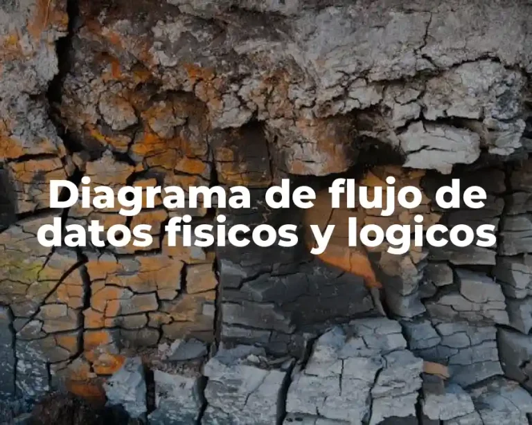 Diagrama de flujo de datos fisicos y logicos