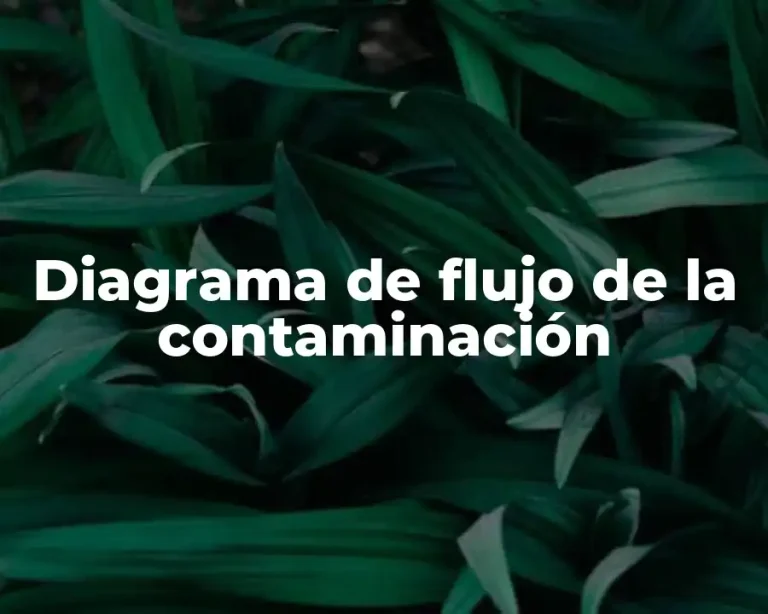 Diagrama de flujo de la contaminación
