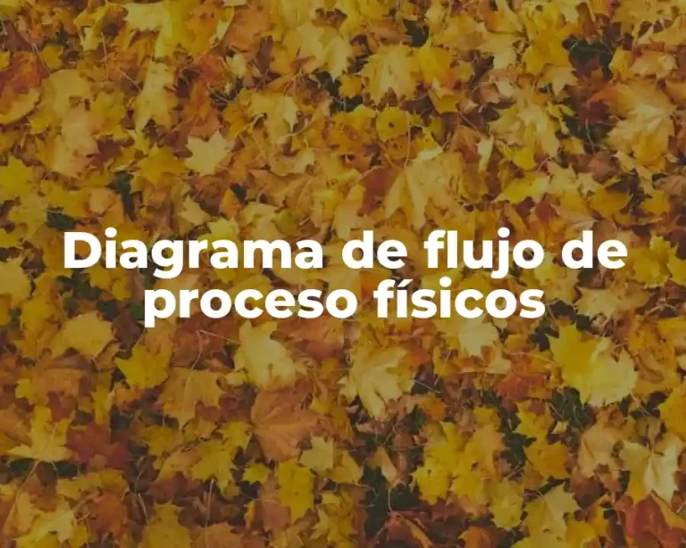Diagrama de flujo de proceso físicos