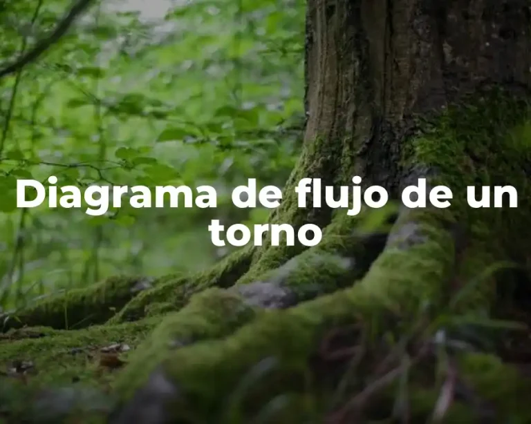 Diagrama de flujo de un torno