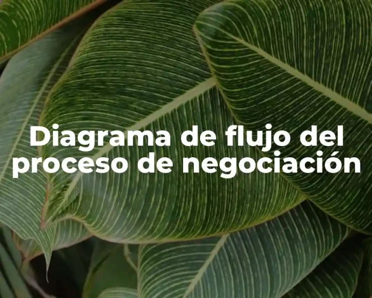 Diagrama de flujo del proceso de negociación