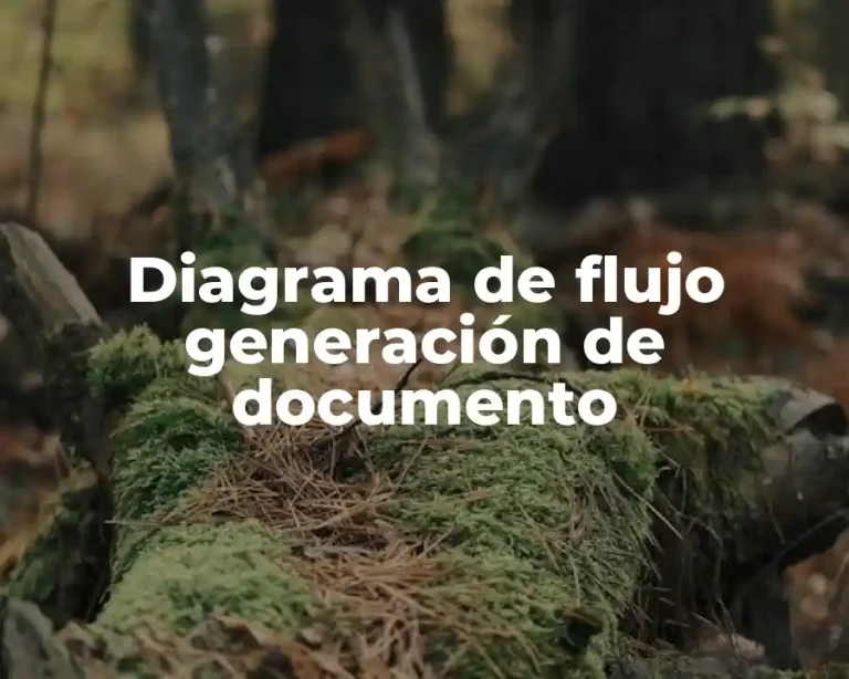 Diagrama de flujo generación de documento