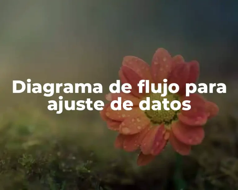 Diagrama de flujo para ajuste de datos