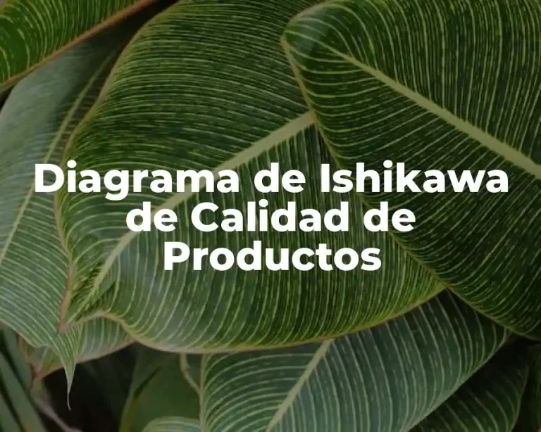 Diagrama de Ishikawa de Calidad de Productos