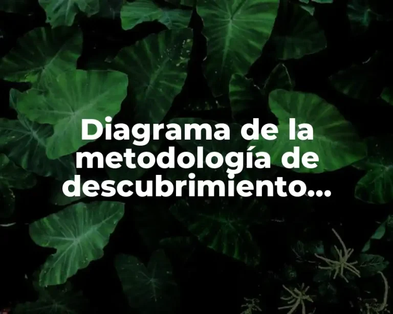Diagrama de la metodología de descubrimiento científico