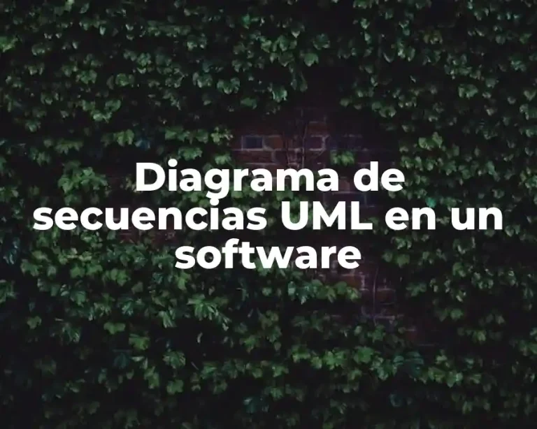 Diagrama de secuencias UML en un software