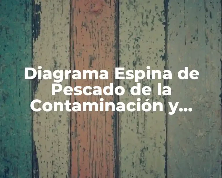 Diagrama Espina de Pescado de la Contaminación y Significado