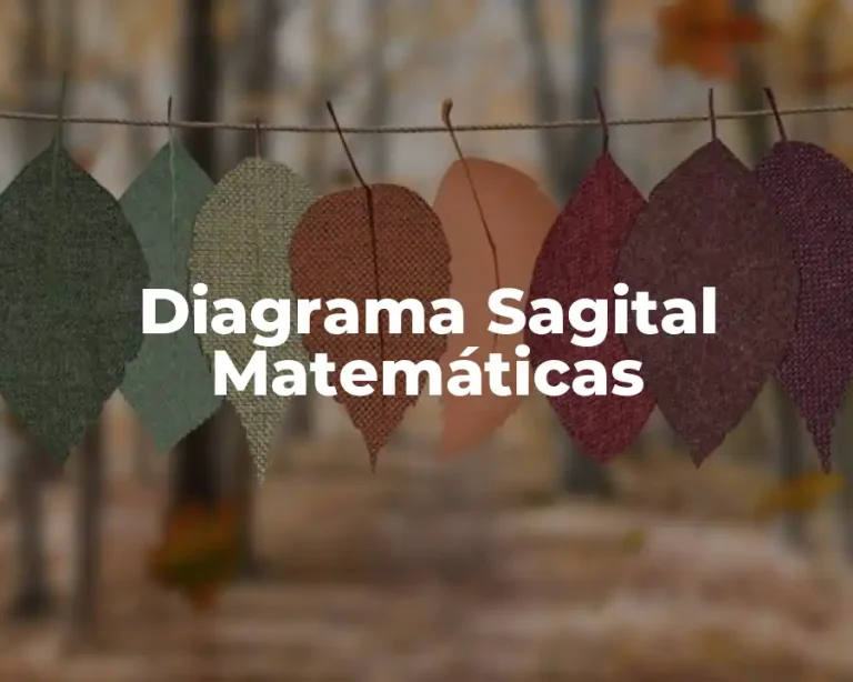 Diagrama Sagital Matemáticas