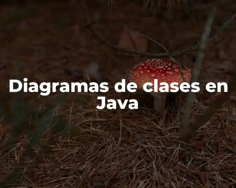 Diagramas de clases en Java