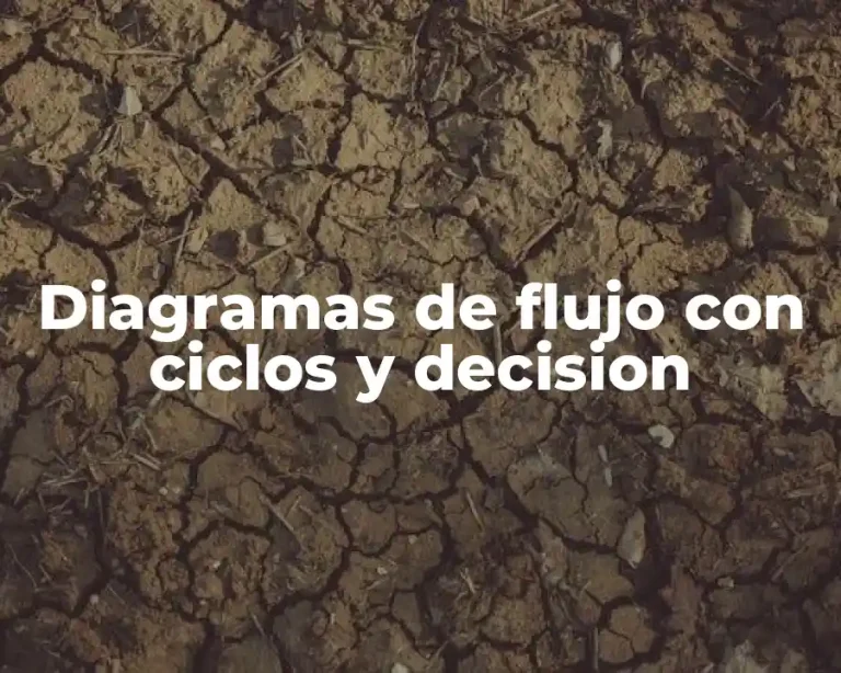 Diagramas de flujo con ciclos y decision