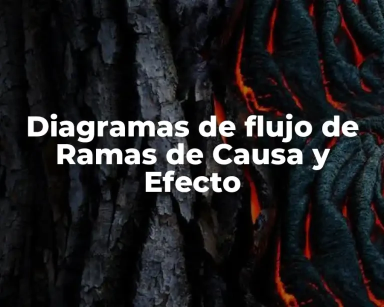 Diagramas de flujo de Ramas de Causa y Efecto