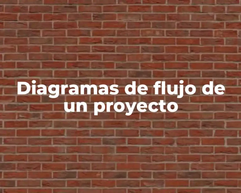 Diagramas de flujo de un proyecto