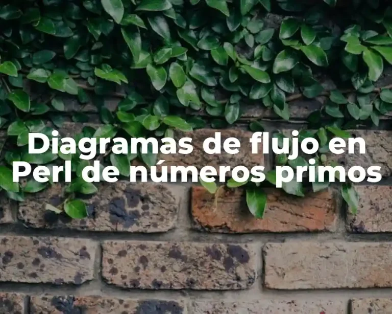 Diagramas de flujo en Perl de números primos