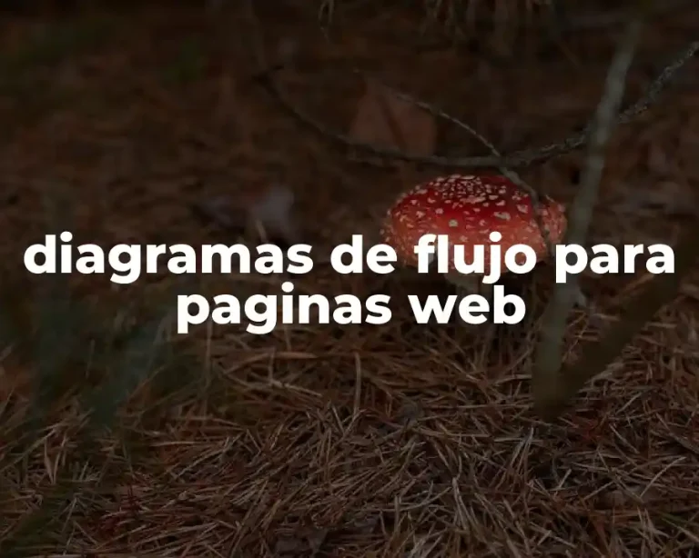 diagramas de flujo para paginas web