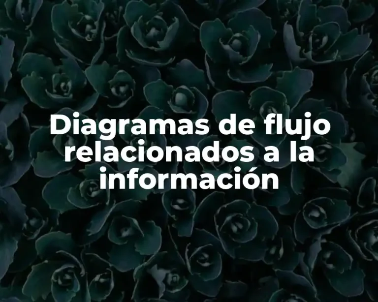 Diagramas de flujo relacionados a la información